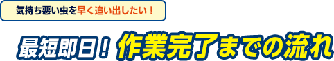 気持ち悪い虫を早く駆除したい。最短即日、作業完了までの流れ
