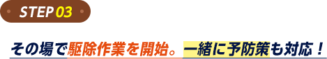 その場で駆除作業を開始。一緒に予防策も対応!