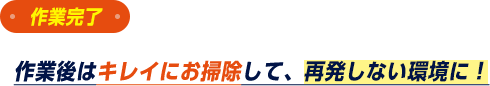 作業後はキレイにお掃除して、再発しない環境に!