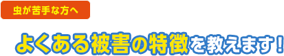 虫が苦手な方へ。よくある被害の特徴を教えます。