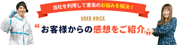 当社を利用して害虫のお悩みを解決お客様からの感想をご紹介。