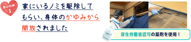家にいるノミを駆除してもらい、身体のかゆみから解放されました。
