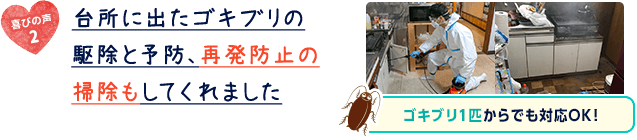 台所に出たゴキブリの駆除と予防、再発防止の掃除もしてくれました。